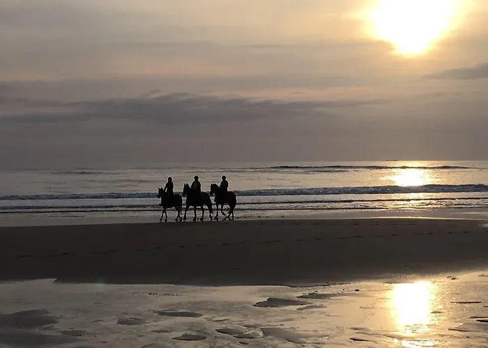 Deichgraf Apartamento